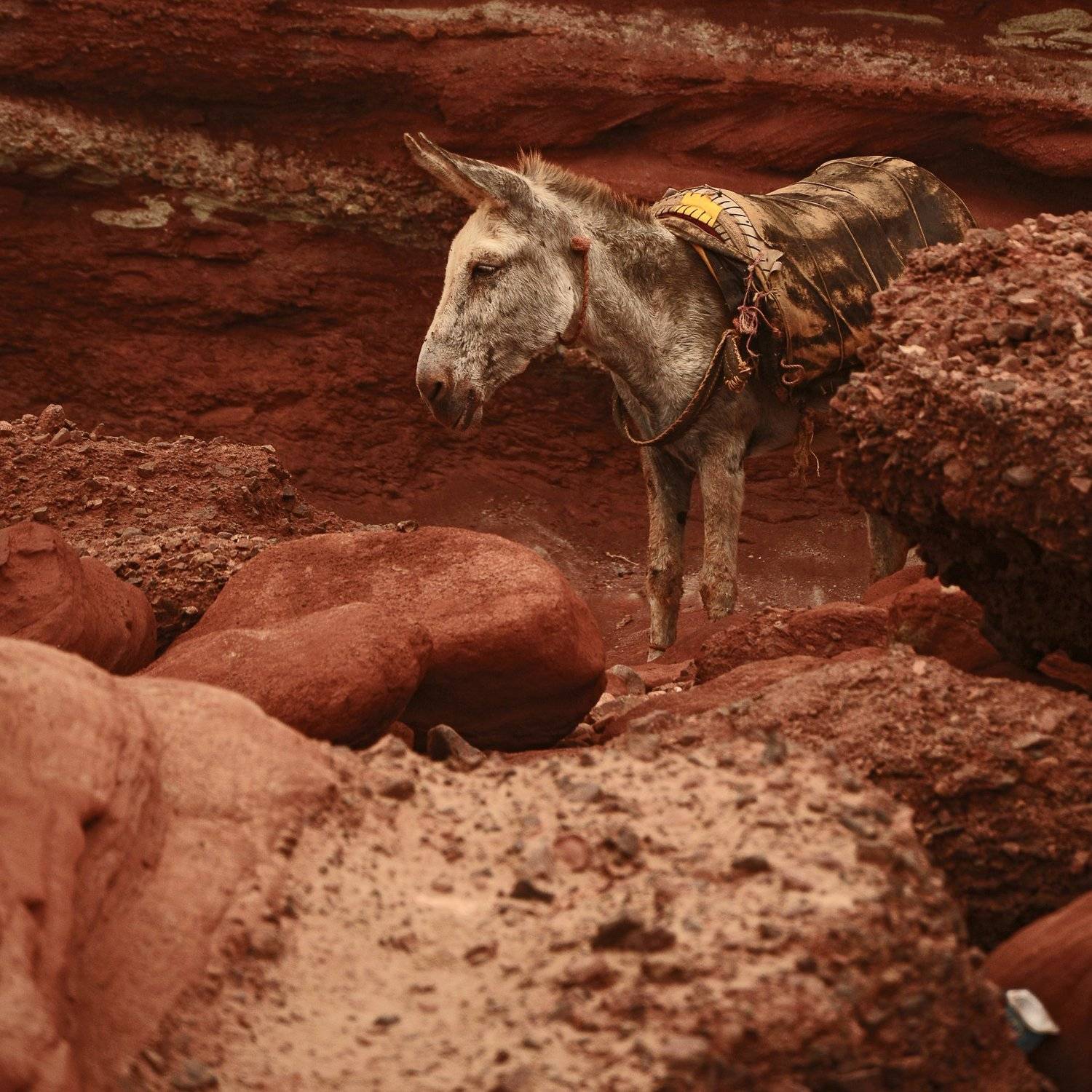 , Денис Воронин