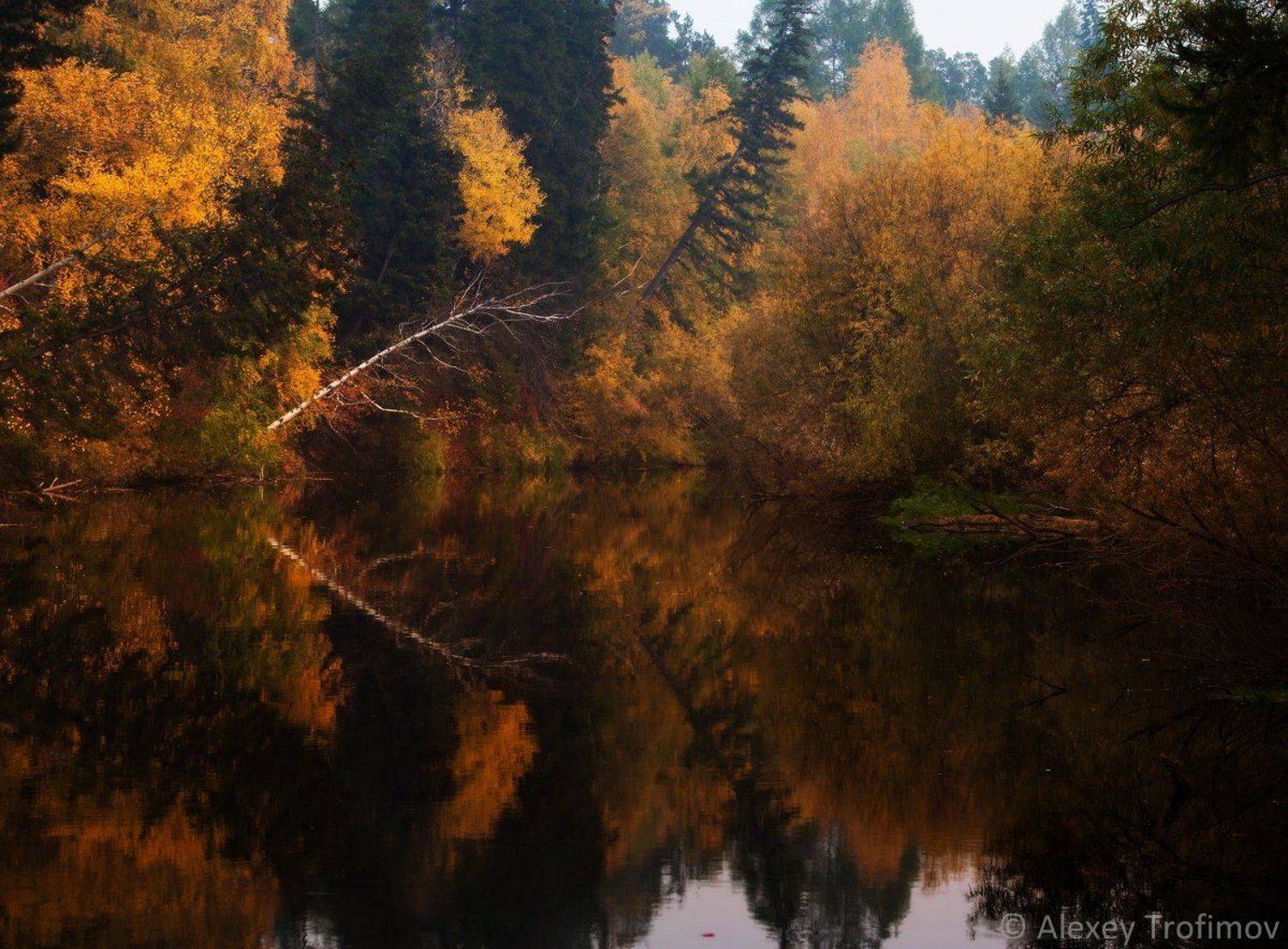 Alexey trofimov, Autumn, Trofimov photo, Осень, Пейзаж, Алексей Трофимов