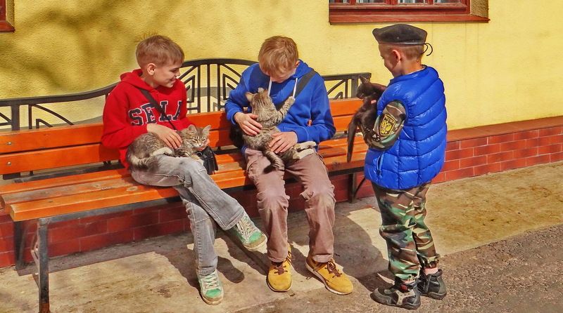 ЮНЫЕ ЛЮБИТЕЛИ КОШЕК фото превью