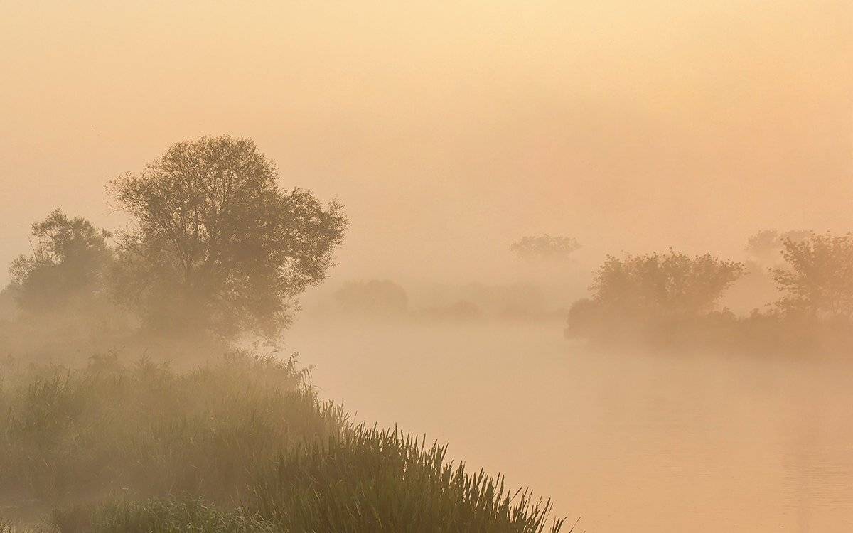 , Pawel Plucinski