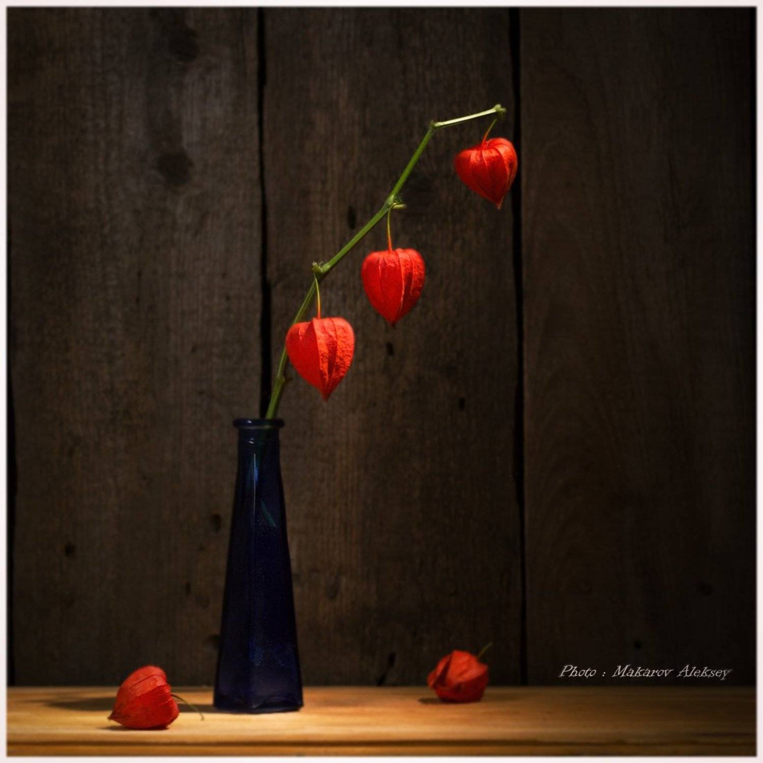 , Алексей Макаров