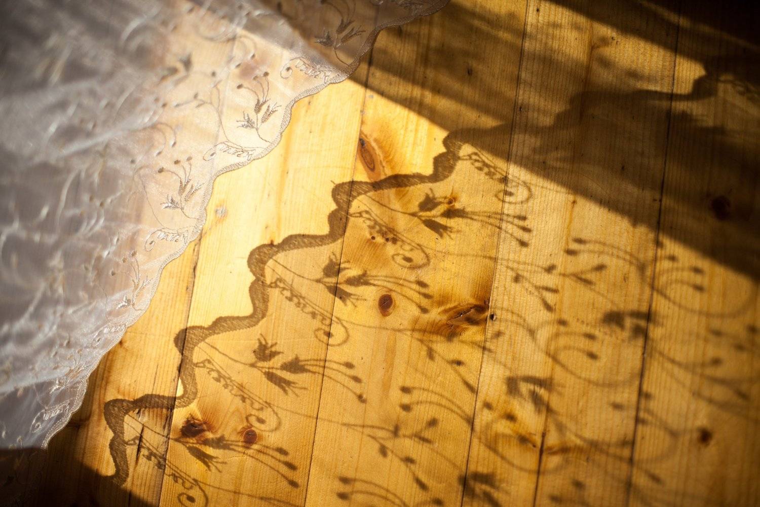 LIGHT, Ольга Шуть