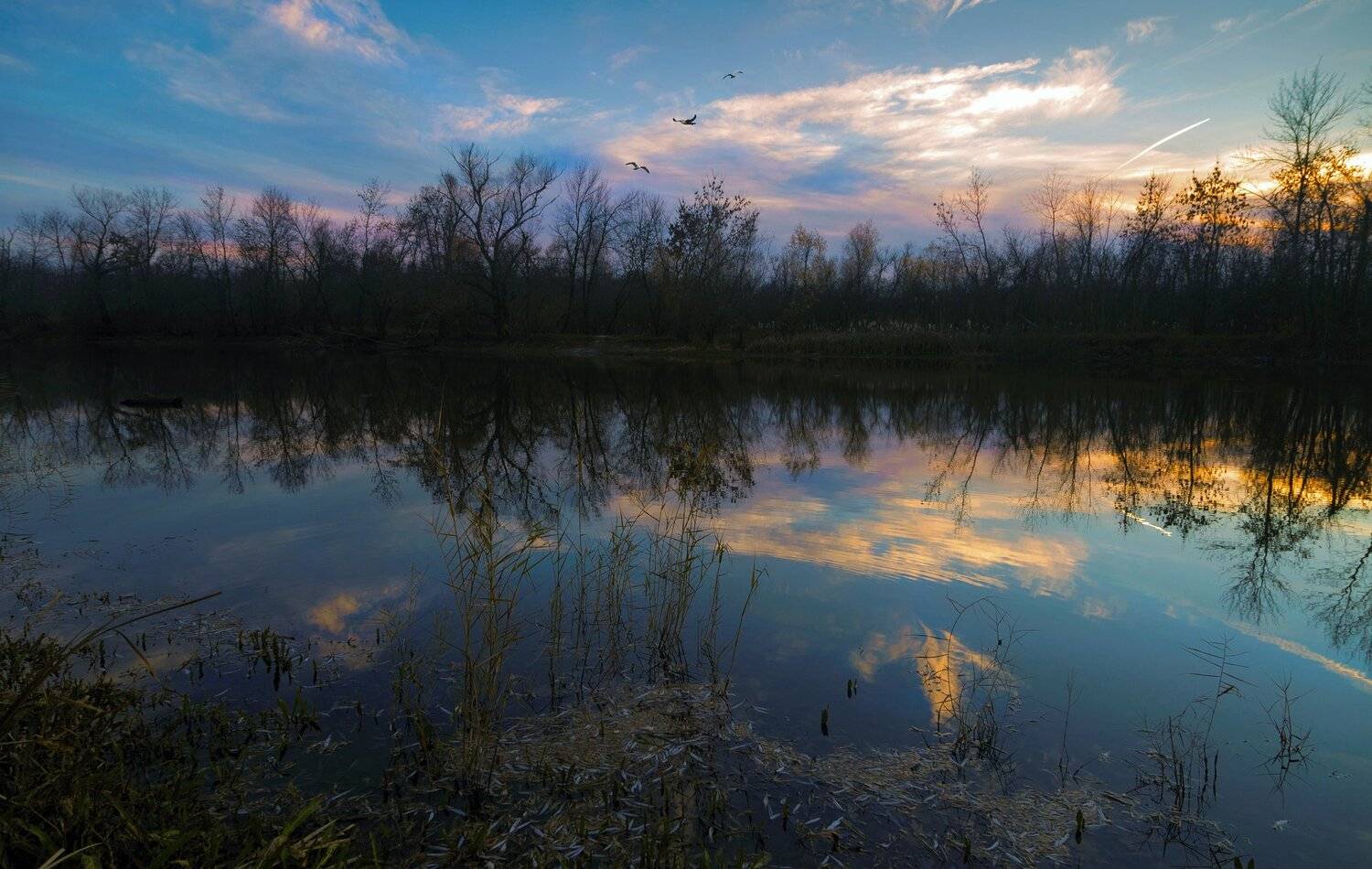, Алексей Рыльский