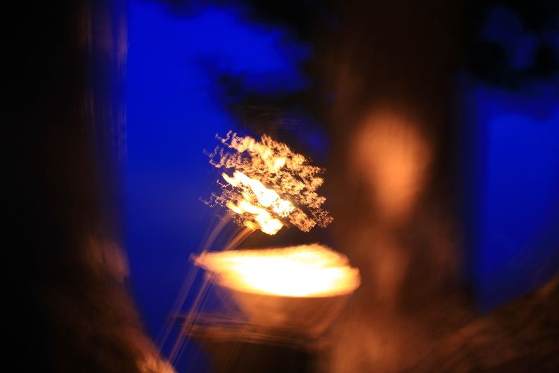 Moontree July resease фото превью