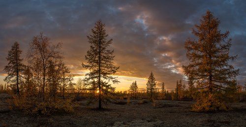 Осенний закат