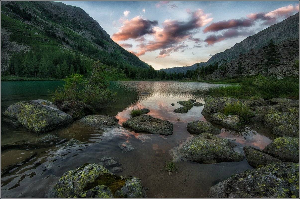 , АНАТОЛИЙ ДОВЫДЕНКО