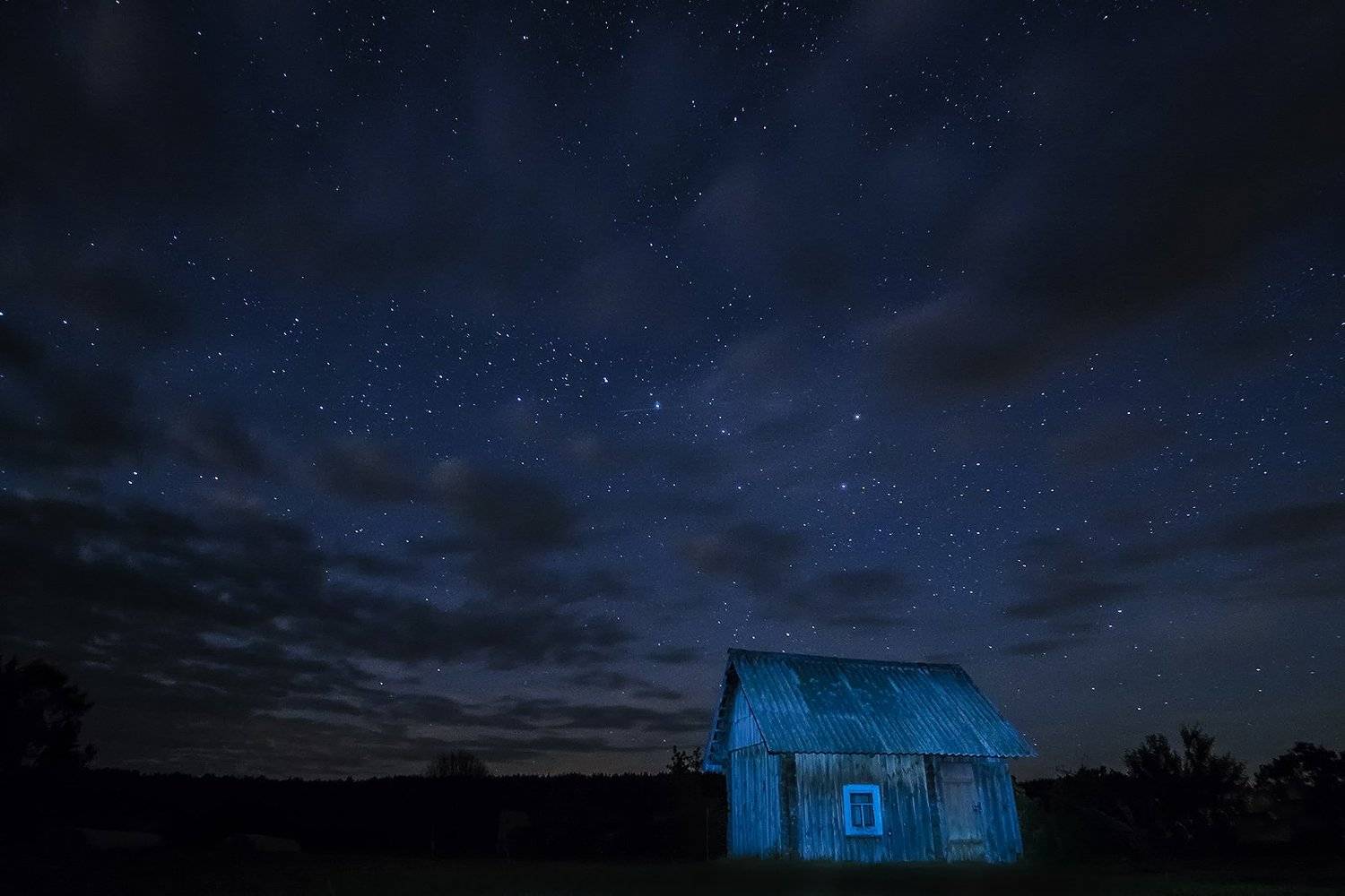 , Rimantas Bikulcius