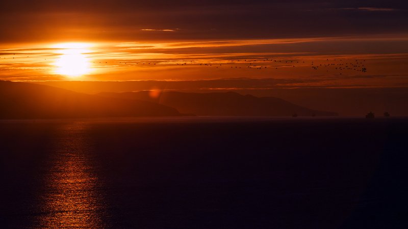 золото рассвета фото превью