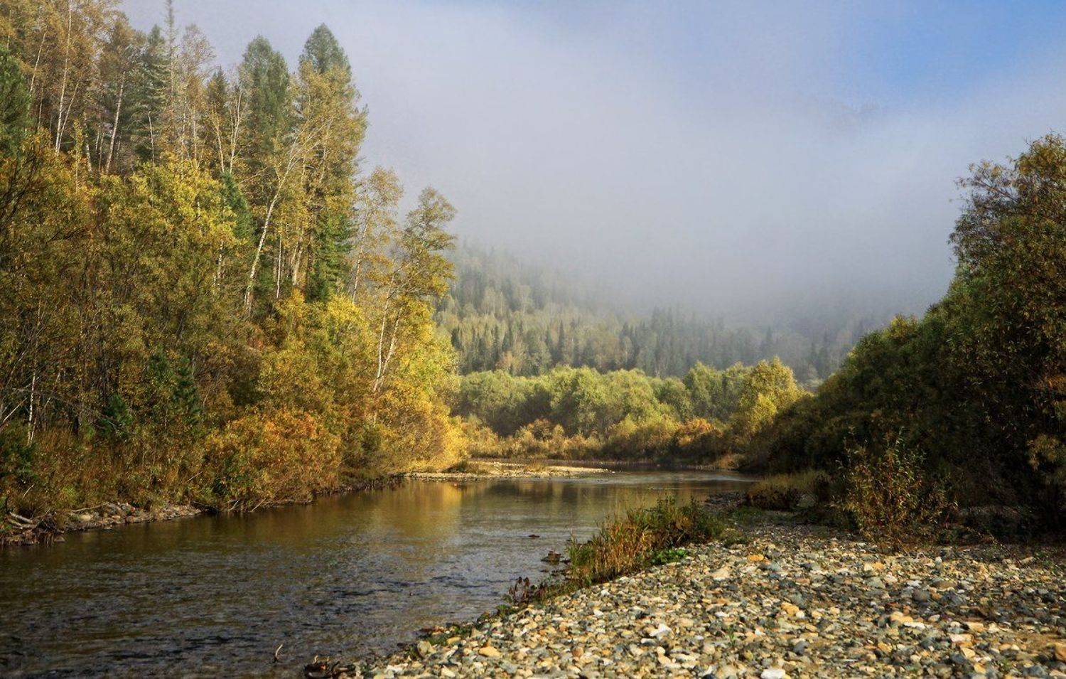 горная шория, ортон, кузбасс, междуреченск, Галина Хвостенко