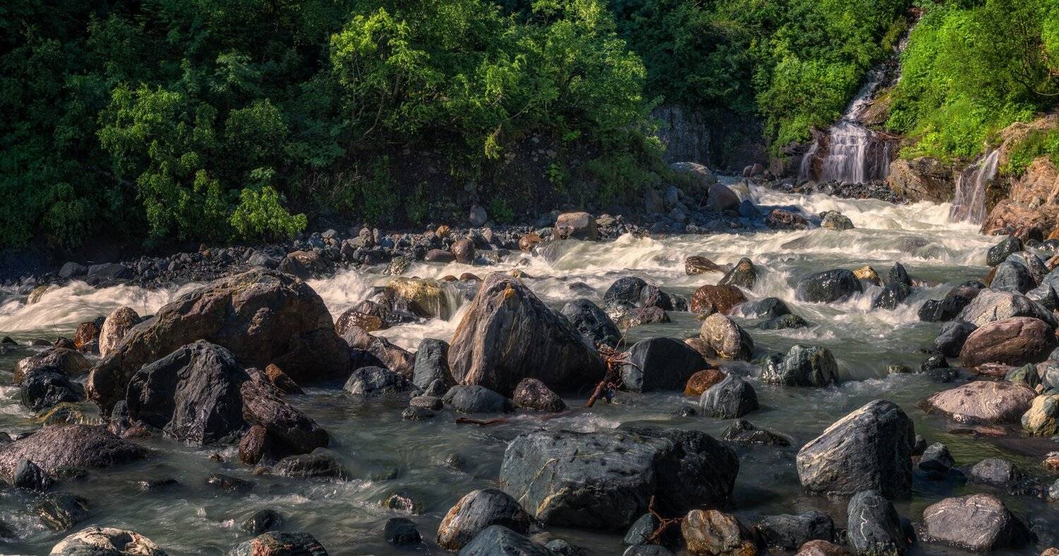 , Игорь Мелекесцев