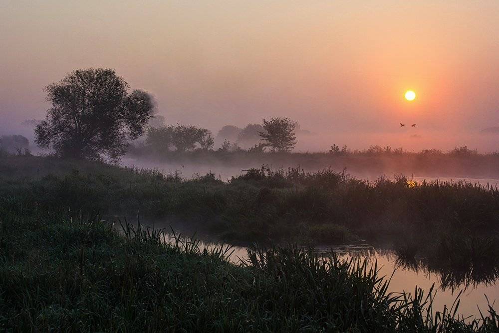 , Pawel Plucinski