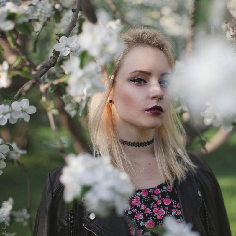 apple flower фото превью