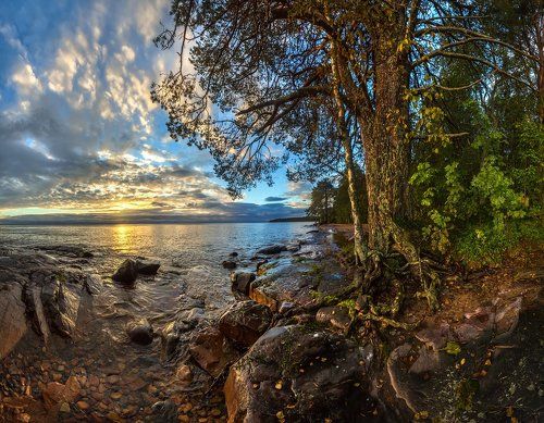 Ленинградский берег Онежского озера