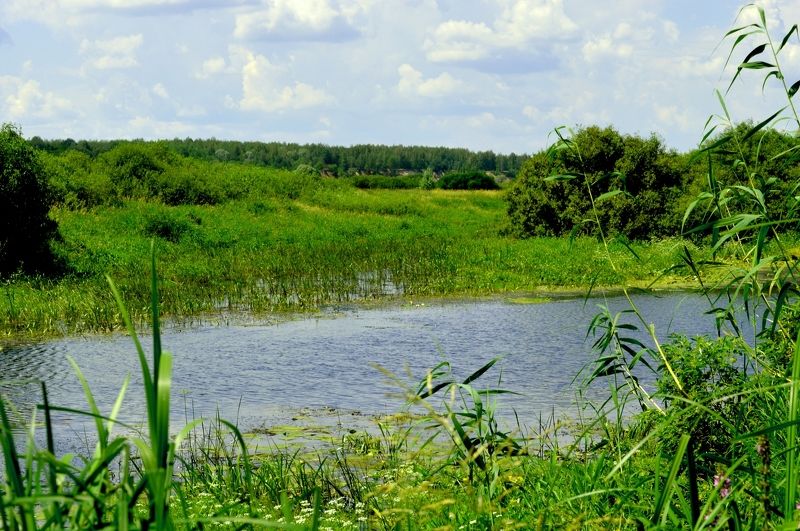 озеро. фото превью