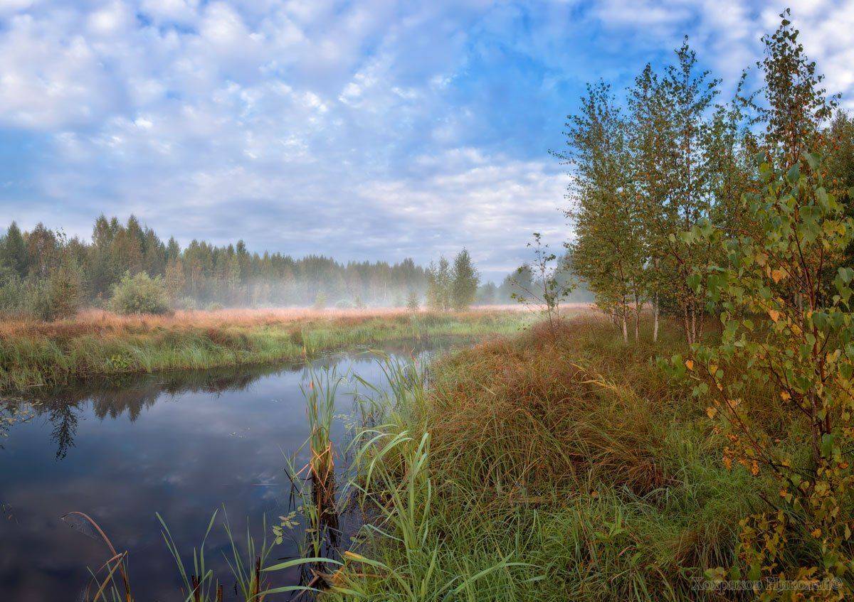 , Хохряков Николай