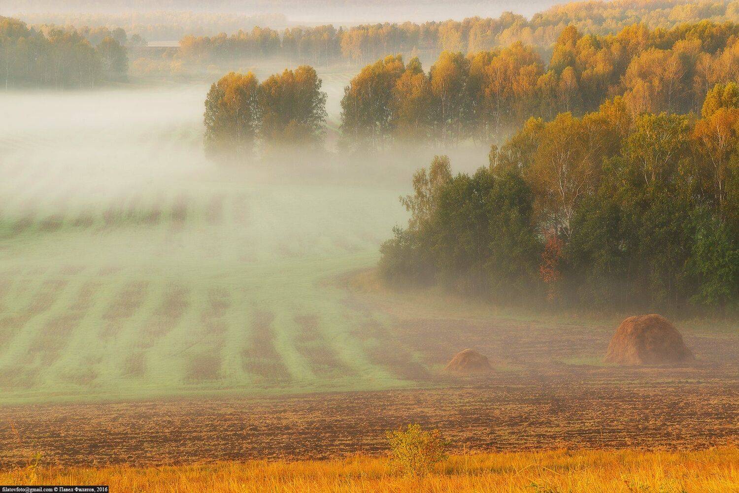 Altai, Altai krai, Autumn, Fog, Pavel Filatov, Siberia, Алтай, Осень, Павел Филатов, Сибирь, Туман, Павел Филатов
