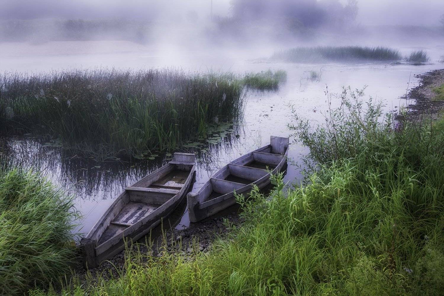 2015, D3100, Nikon, Август, Лето, Пейзаж, Природа, Рассвет, Россия, Смоленская область, Туман, Денис Щербак