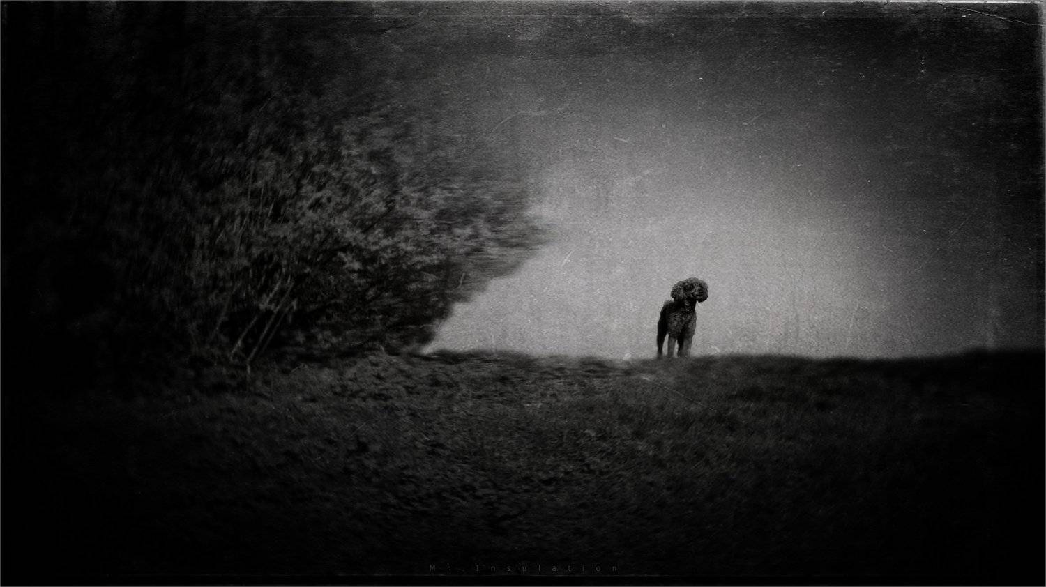 , Владислав Холодков