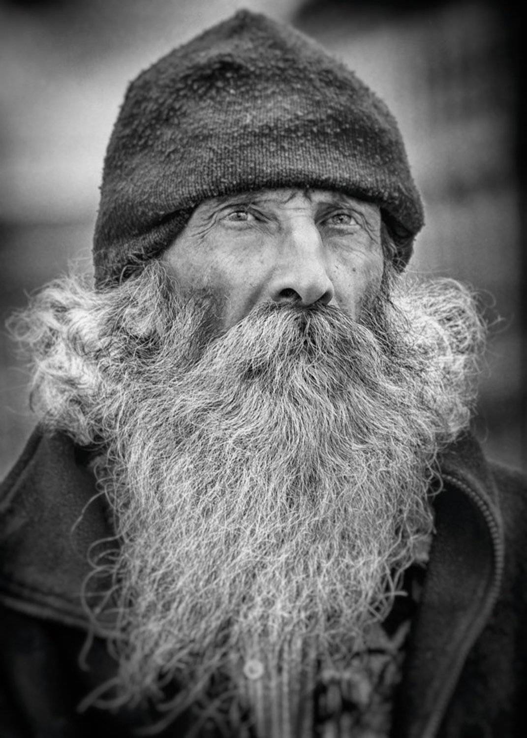 художник, Стяжкин Дмитрий