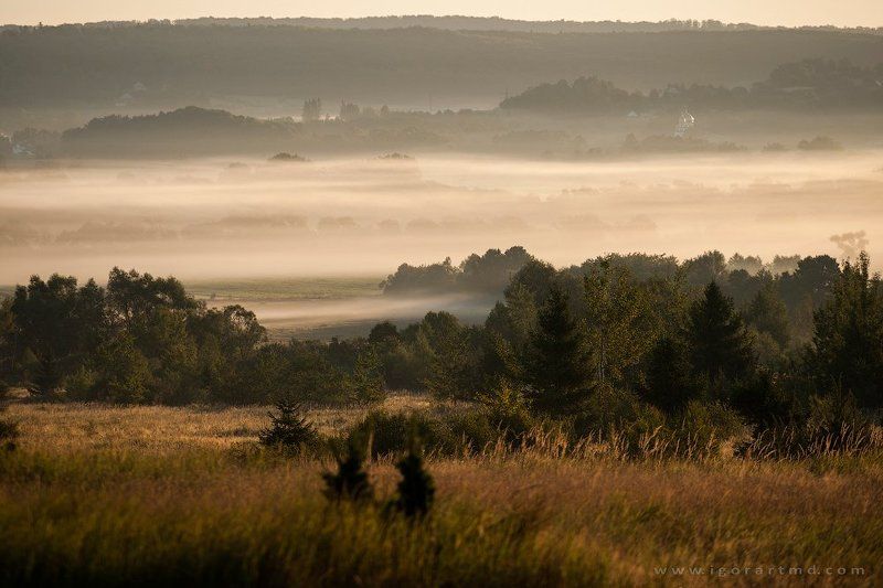 fogtime фото превью