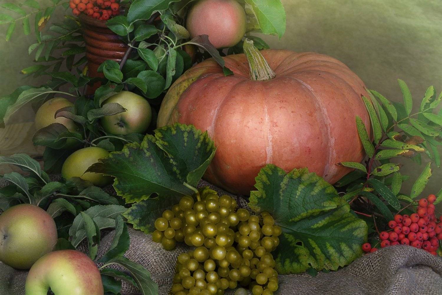 Виноград, Тыква, Яблоки, Вера Павлухина