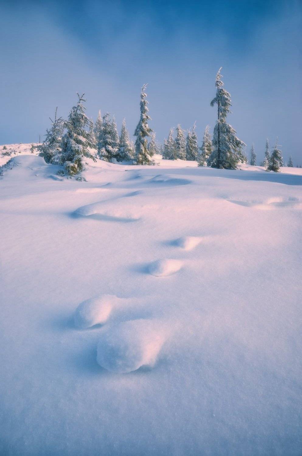 , Виталий Башкатов