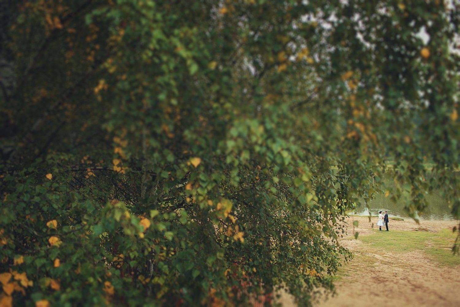 , Галина Арсёнова