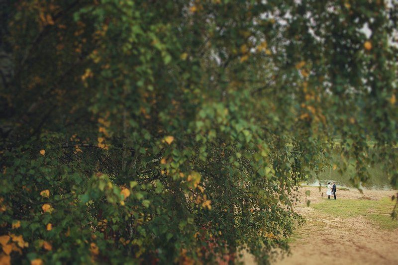 *** фото превью