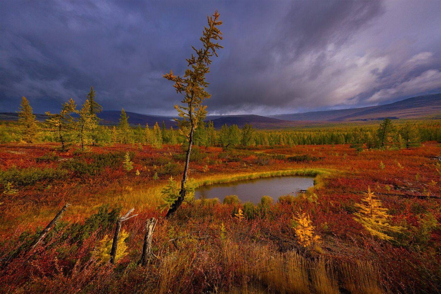 , Евгений Кужилев