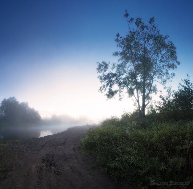 дерево у брода... фото превью