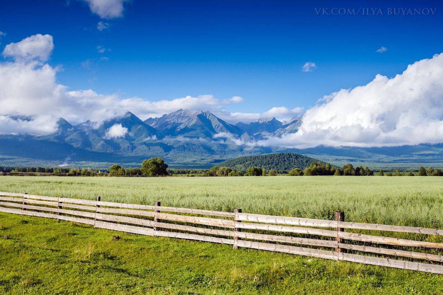 , Илья Буянов