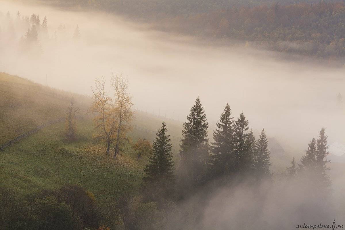 Горы, Карпаты, Рассвет, Туман, Антон Петрусь