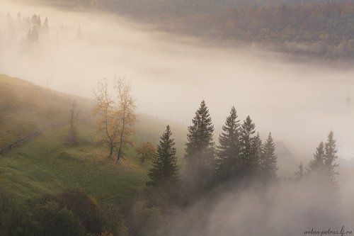 Меланхолия