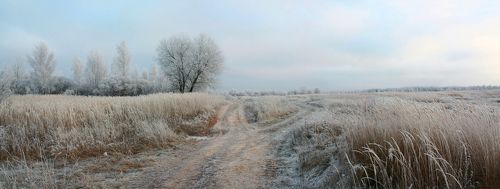 Русский пейзаж )