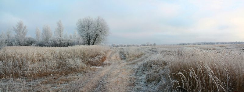 поле, дорога Русский пейзаж ) фото превью
