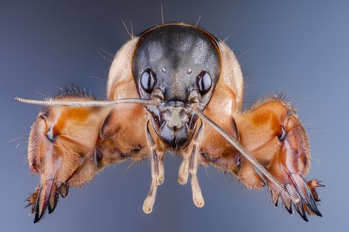 Самое трудное  — портрет