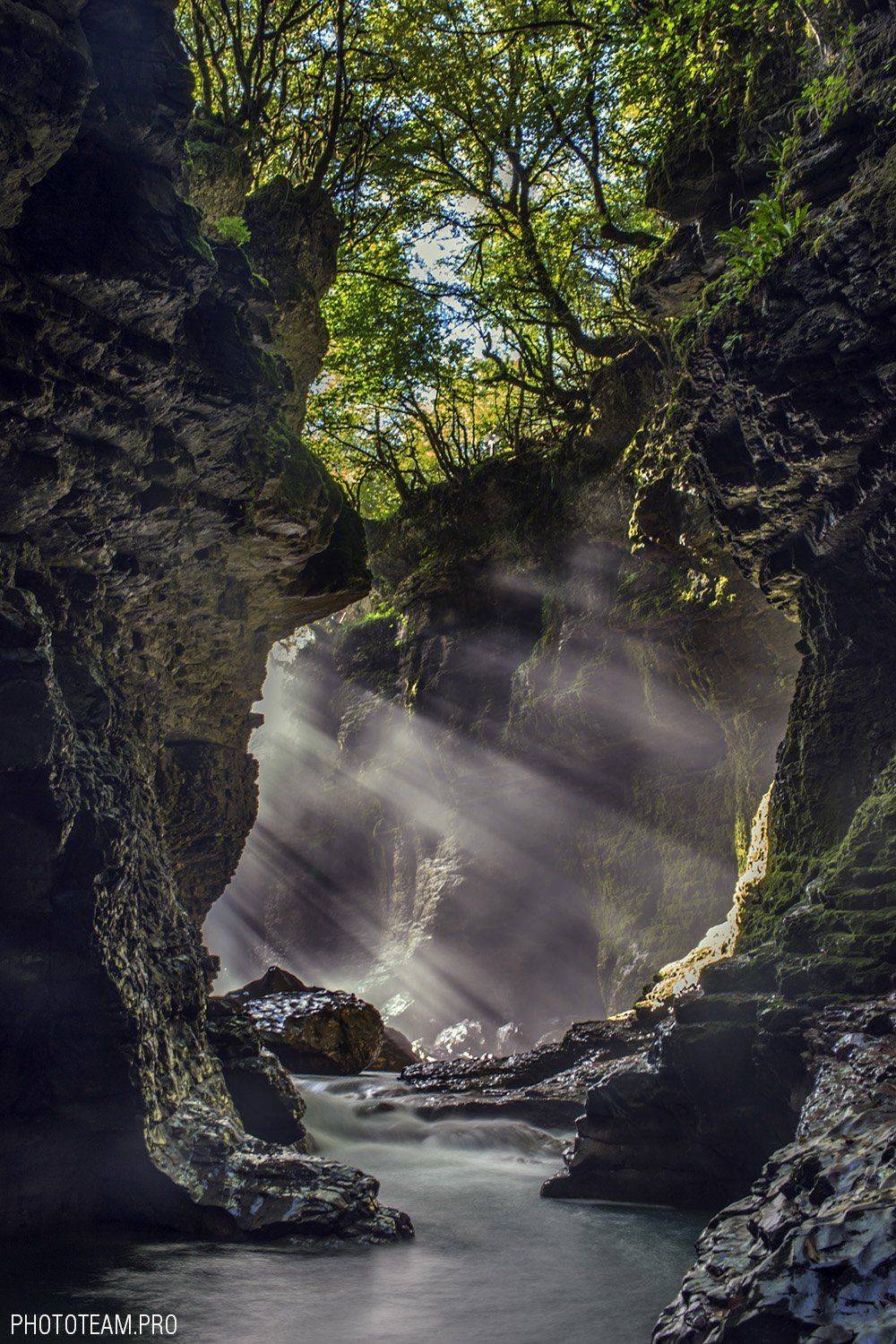 , Витя Лягушкин