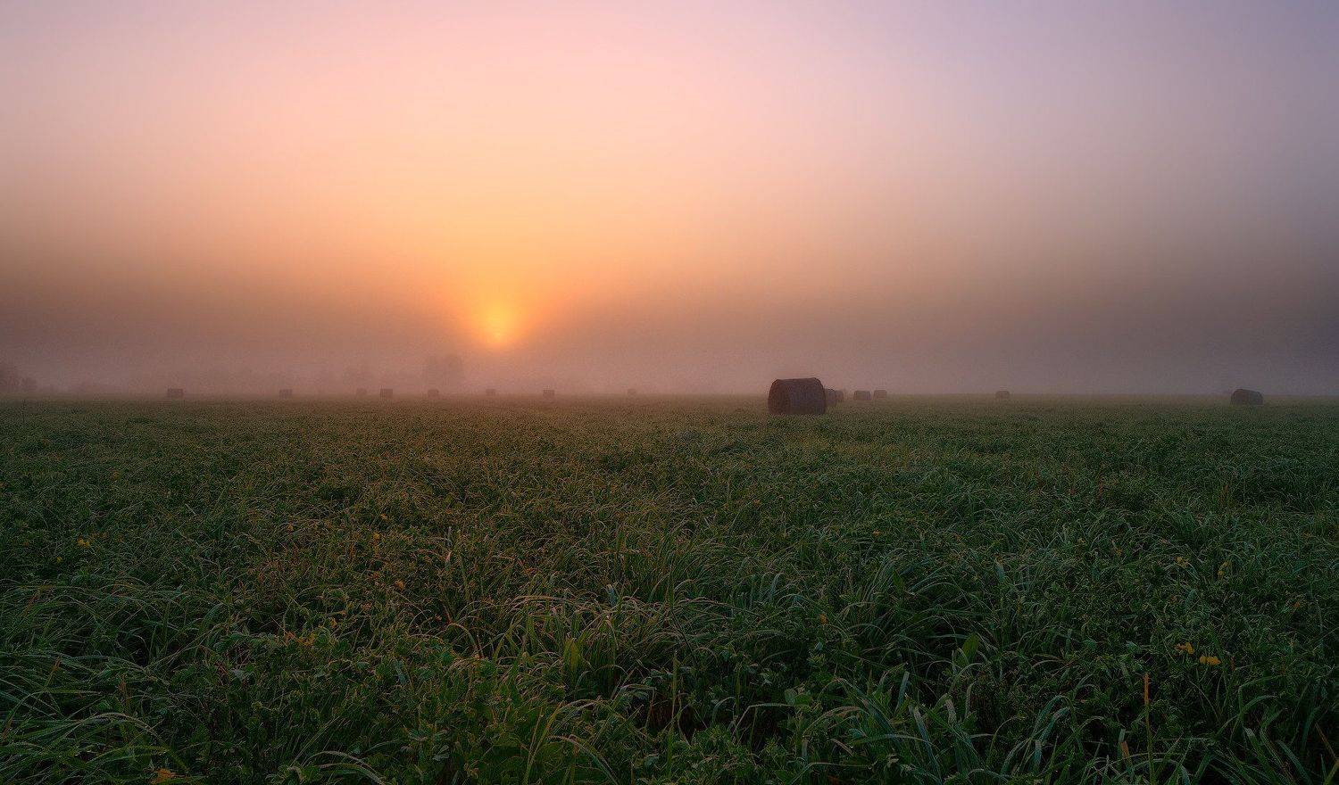 , Сергей (Bekr)