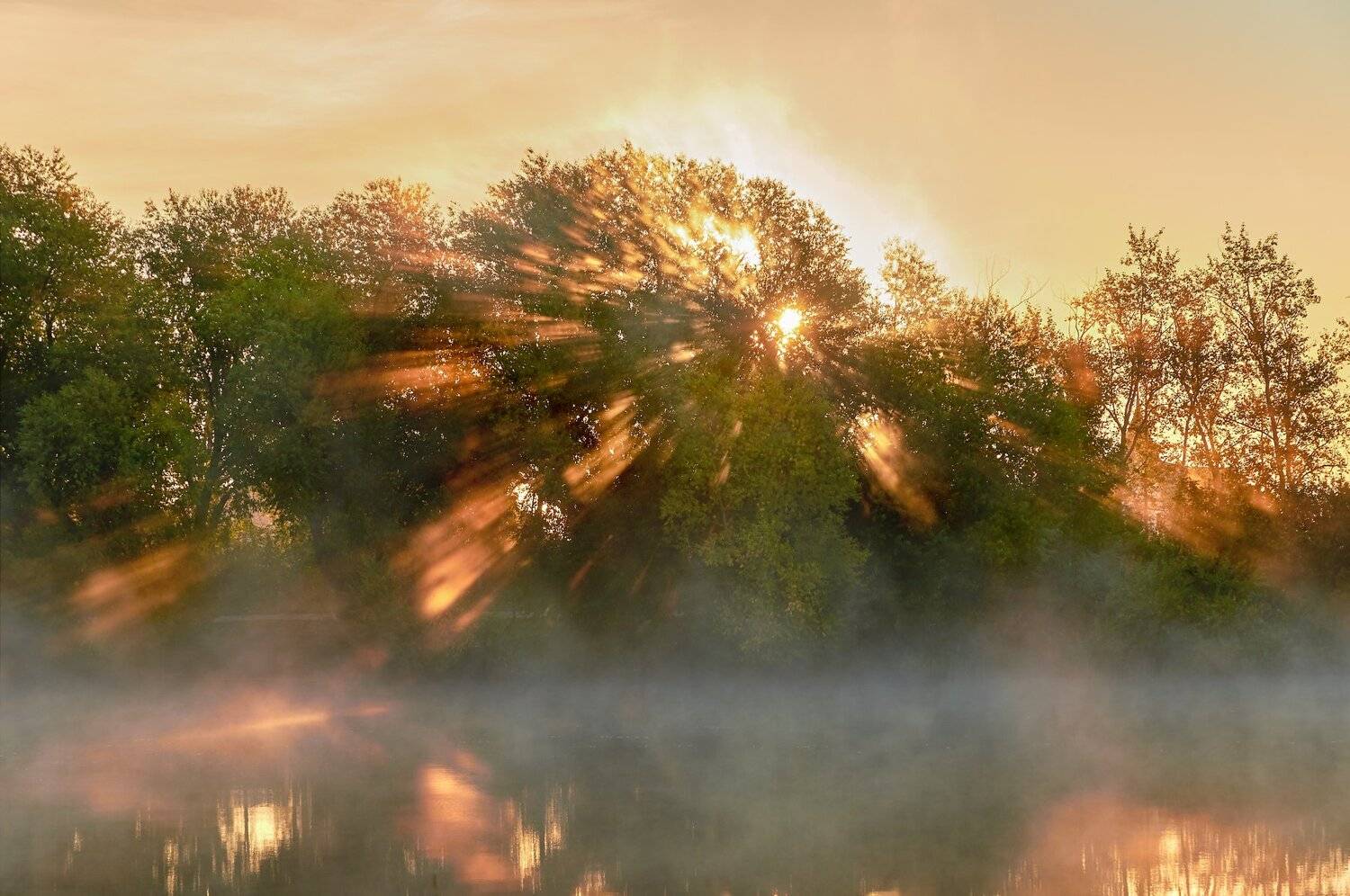 , Олег Богданов