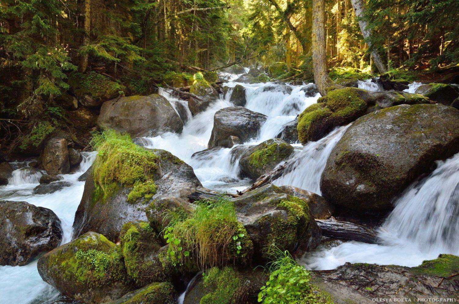 муруджу, улу-муруджу, горная, река, лес, россия, кчр, карачаево-черкесская республика, домбай, Олеся Боева