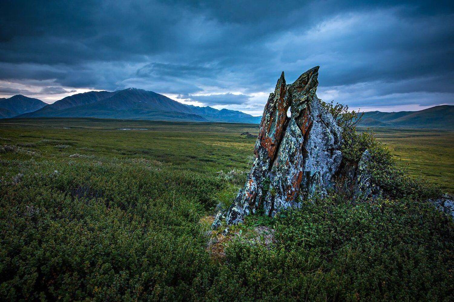 , Станислав Аристов
