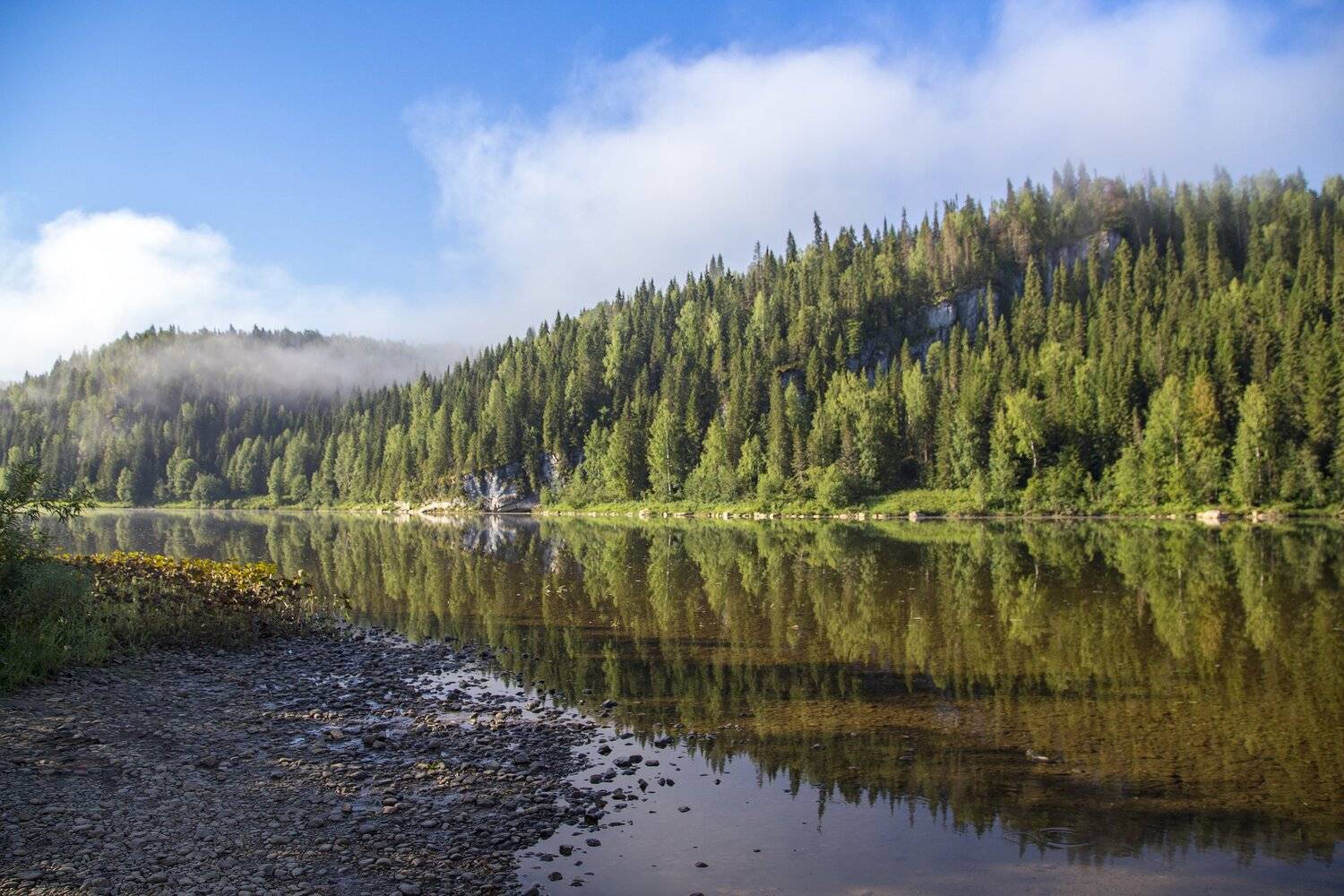 утро, туман, река, Вишера, Пермский край, Савицкий Ян