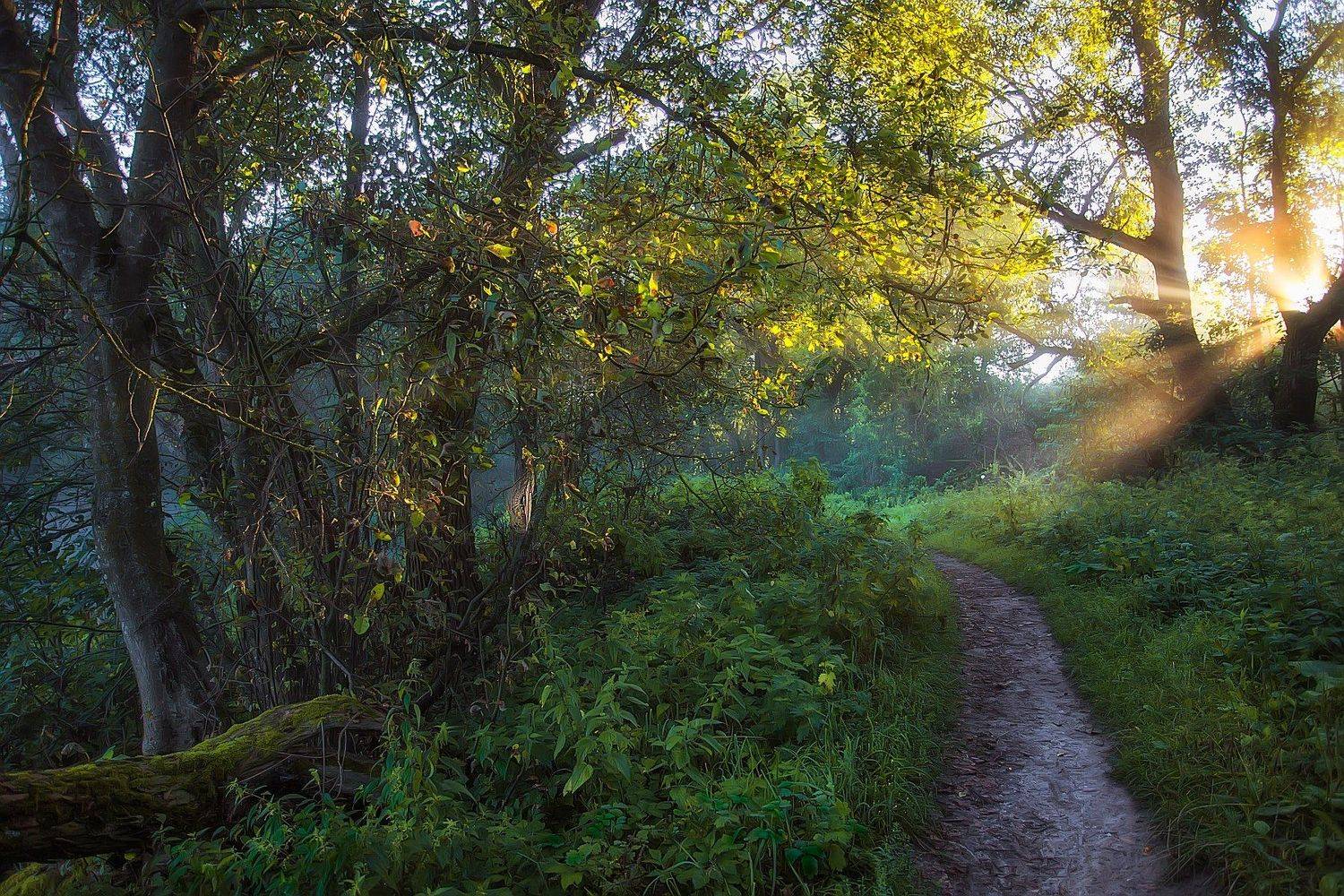 , Юлия Войнич