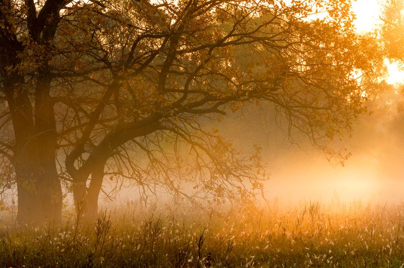 ***** фото превью