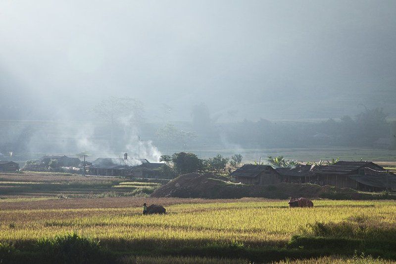 Vietnam village фото превью