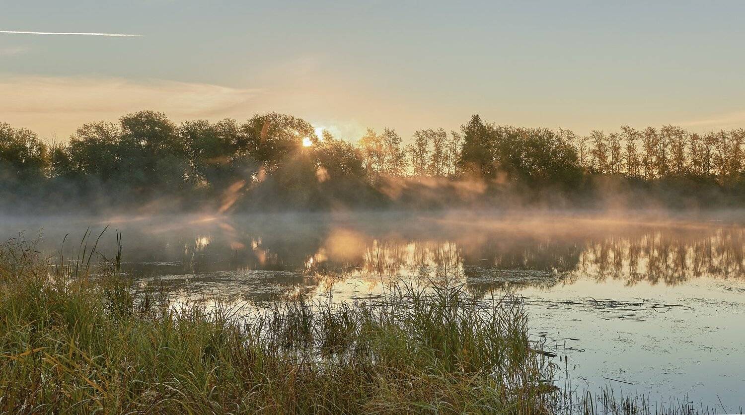 , Олег Богданов