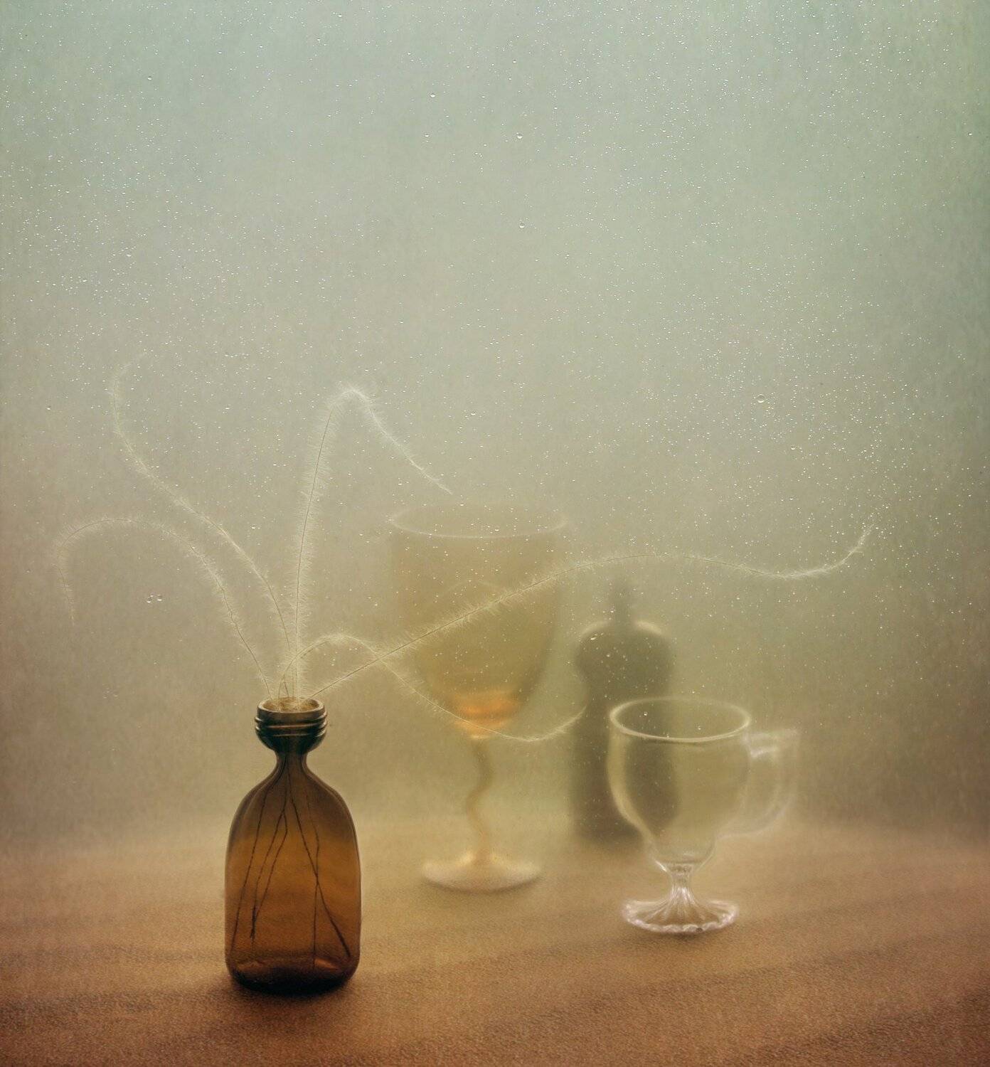 ковыль, растение, бокал, бутылочка, стекло, натюрморт, Елена
