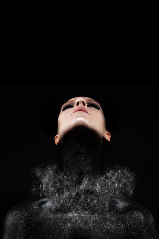 International Floral Art 2016-2017 фото превью