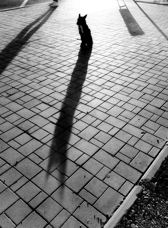 *** фото превью