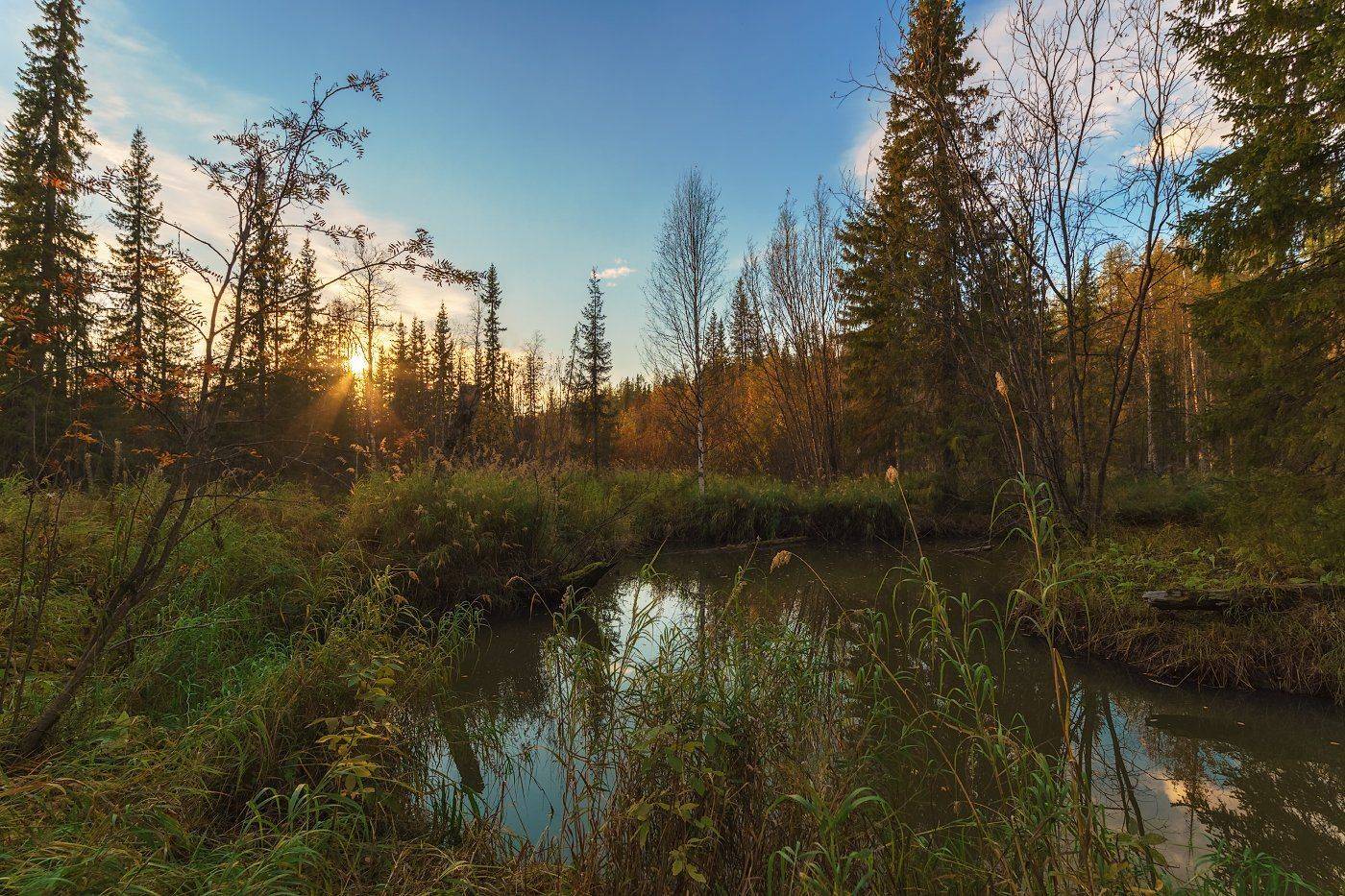 Коми, Осень, Печора, Игорь Подобаев